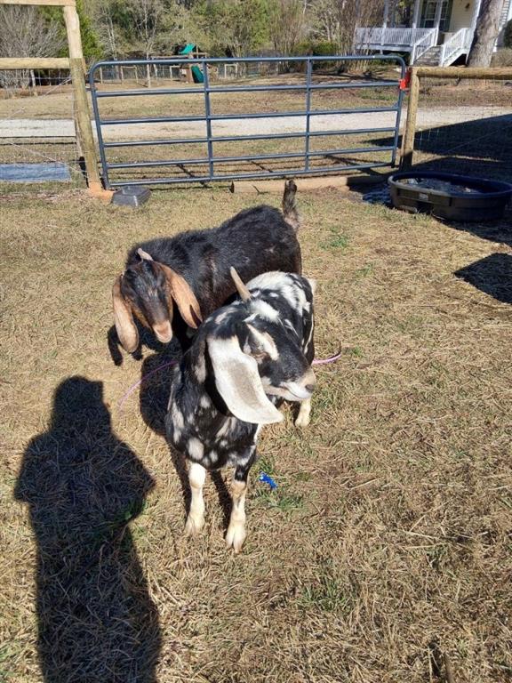 1555 Lower River Road Covington, GA 30016 - Photo 90 of 90