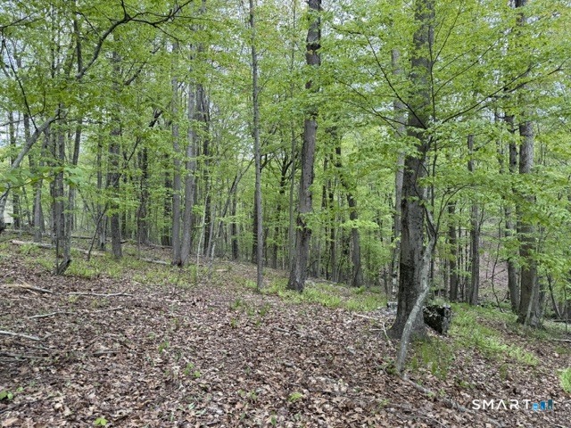 Lot10-b1 Foot Hills Road Higganum, CT 06441 - Photo 11 of 33 a backyard of a house with lots of green space
