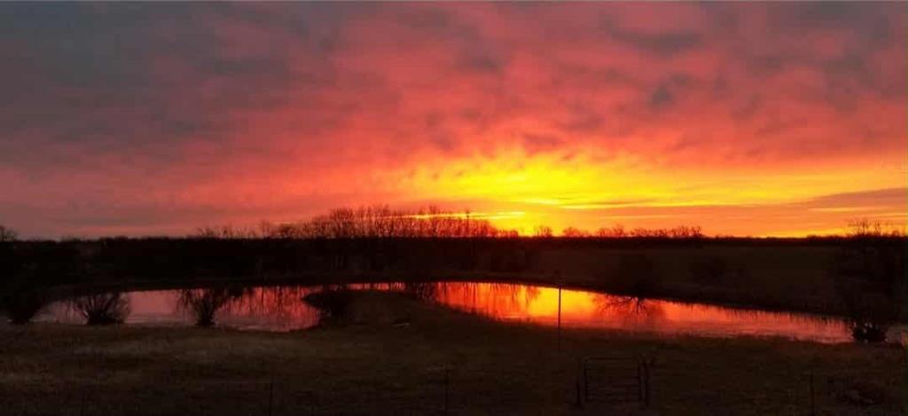 1481 135th Street Fort Scott, KS 66701 - Photo 5 of 95