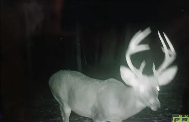 $747,000 | 1481 135th Street, Fort Scott, KS 66701