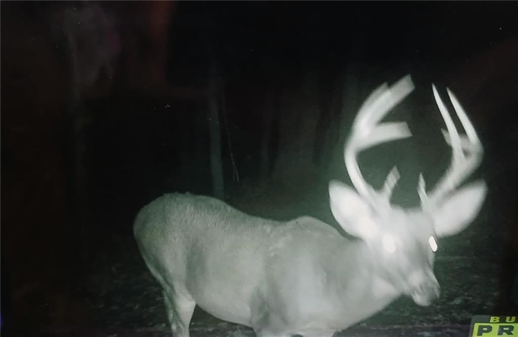 1481 135th Street Fort Scott, KS 66701 - Photo 92 of 95