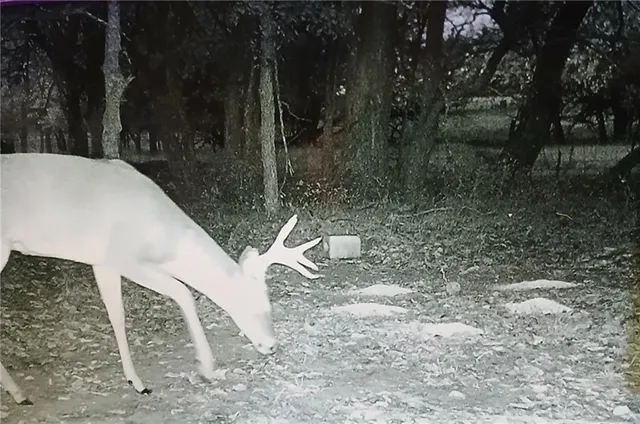 $747,000 | 1481 135th Street, Fort Scott, KS 66701