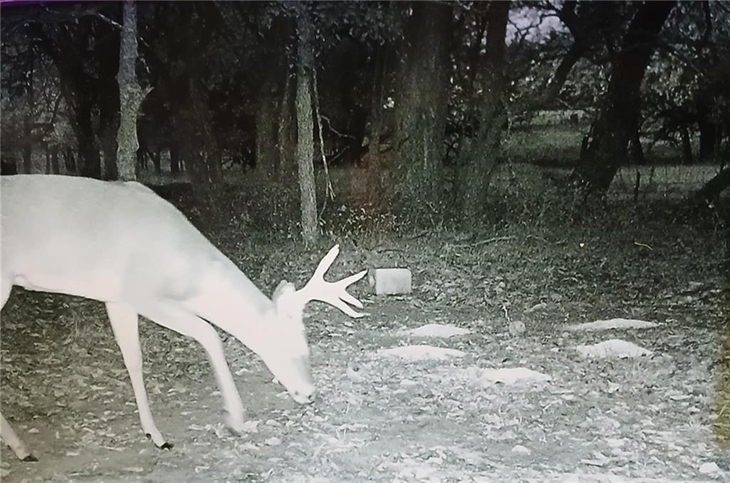 1481 135th Street Fort Scott, KS 66701 - Photo 93 of 95