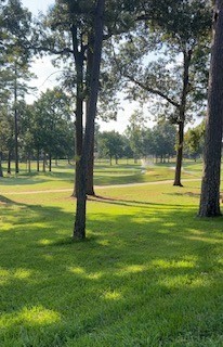 12900 Walden Road, Unit 814H Montgomery, TX 77356 - Photo 34 of 42 View of the water and golf course