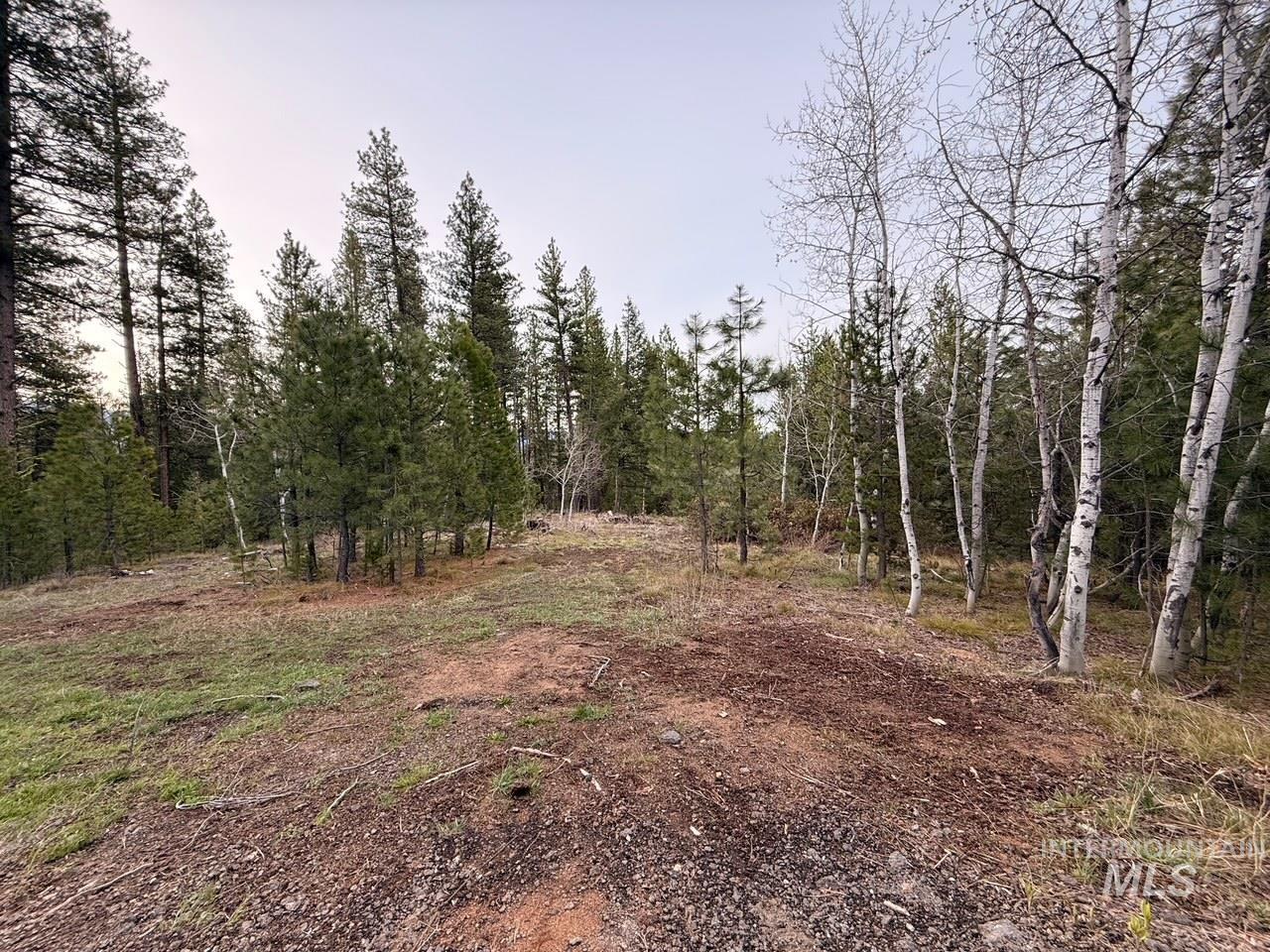11 Sawtooth Loop Cascade, ID 83611 - Photo 8 of 19