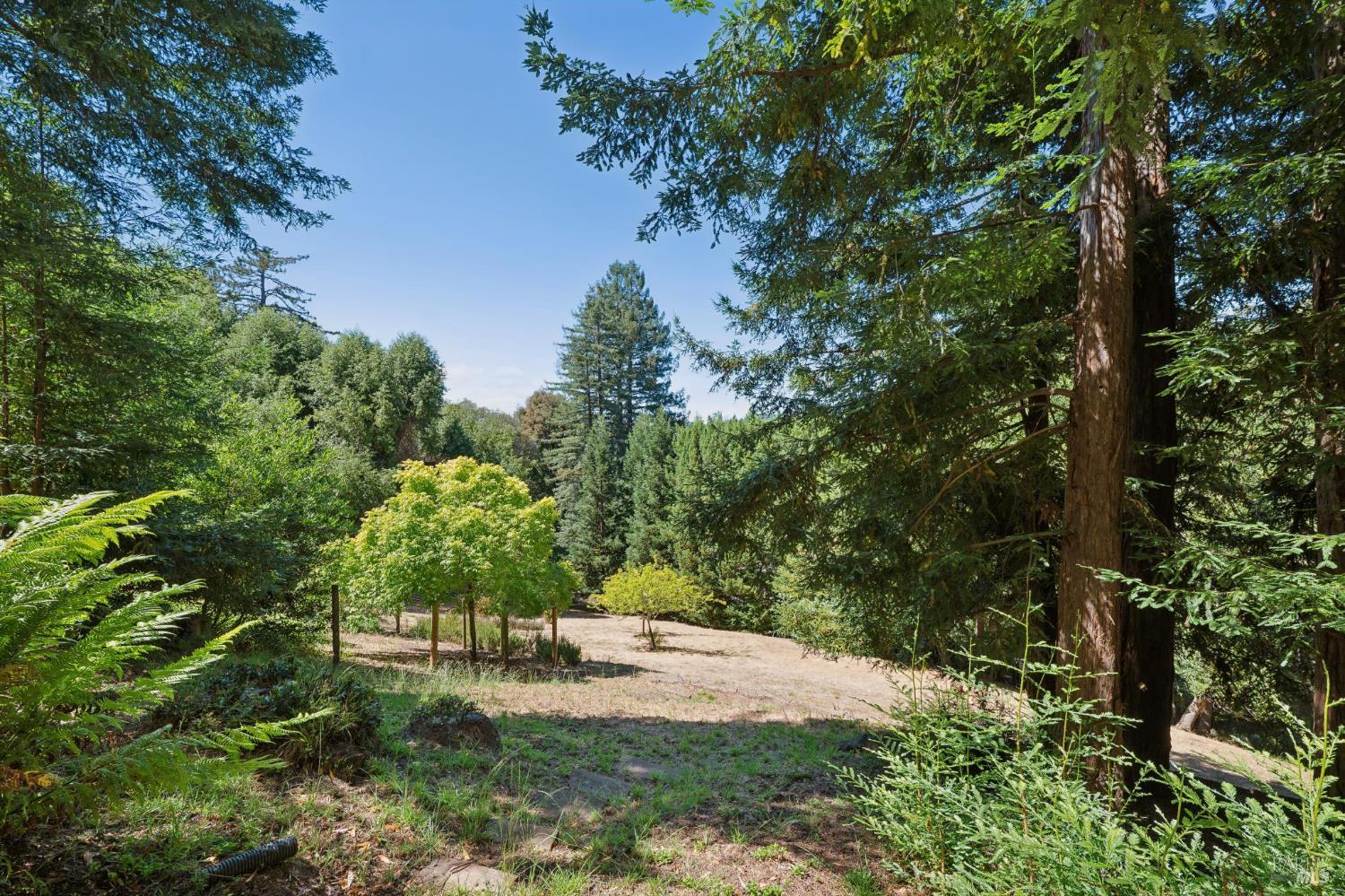 32 Meyer Road San Rafael, CA 94901 - Photo 61 of 74