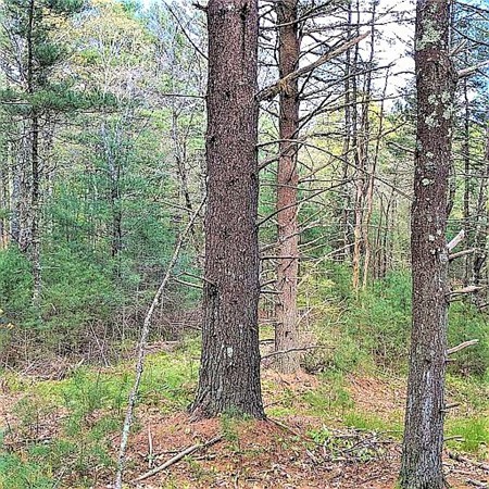 0 Prospect Road Plympton, MA 02367 - Photo 11 of 14 Gallery Image 11