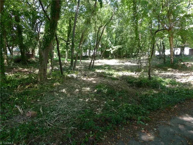 $25,000 | 351 Honeysuckle Street, Mocksville, NC 27028