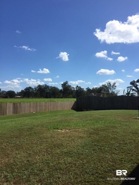 25336 Spindle Lane Daphne, AL 36526 - Photo 30 of 33 back yard