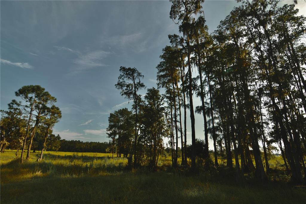 4802 Northwest 50th Road Starke, FL 32091 - Photo 68 of 75 Gallery Image 68