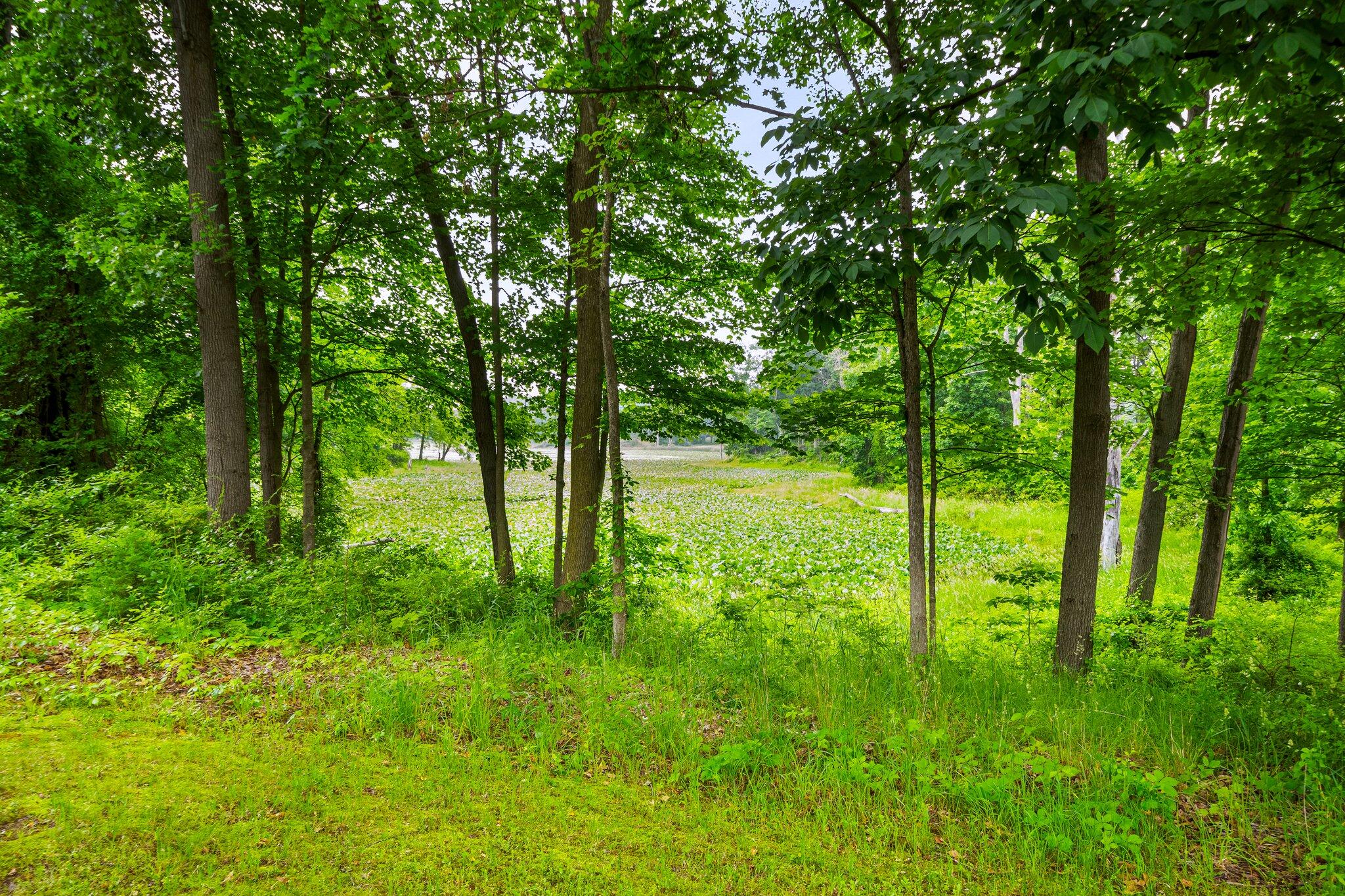 13060 Broadway Road Three Rivers, MI 49093 - Photo 40 of 43 13060 Broadway Road-39