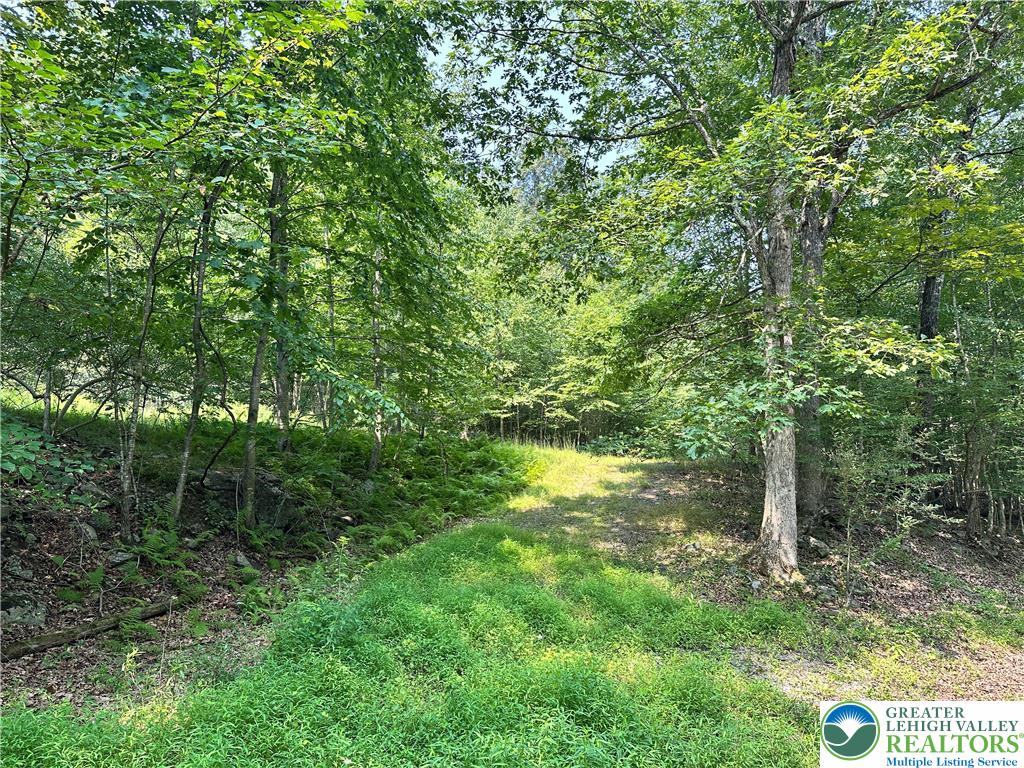 Timber Hill Road, Unit 3C Henryville, PA 18332 - Photo 2 of 7 a view of outdoor space and yard