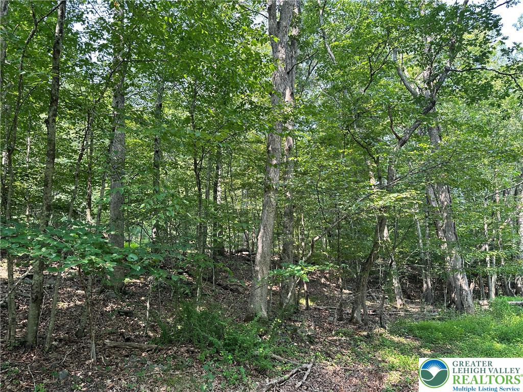 Timber Hill Road, Unit 3C Henryville, PA 18332 - Photo 4 of 7 a view of a forest with a tree