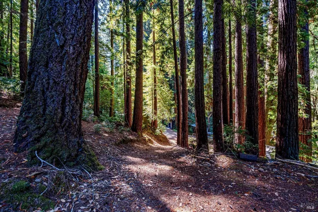 $785,000 | 4350 Cazadero Highway, Cazadero, CA 95421