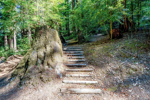 $785,000 | 4350 Cazadero Highway, Cazadero, CA 95421