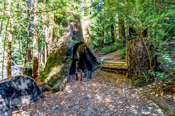 $785,000 | 4350 Cazadero Highway, Cazadero, CA 95421