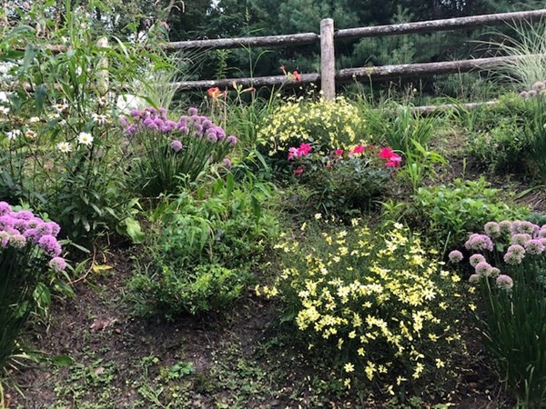 462 Lowell Road Groton, MA 01450 - Photo 40 of 42 a view of yard with flower and flowers