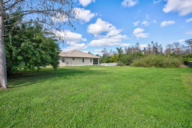 a view of a park with trees