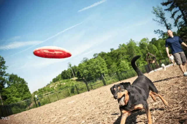 $1,150,000 | 66 Ashwood Drive, Chapel Hill, NC 27516