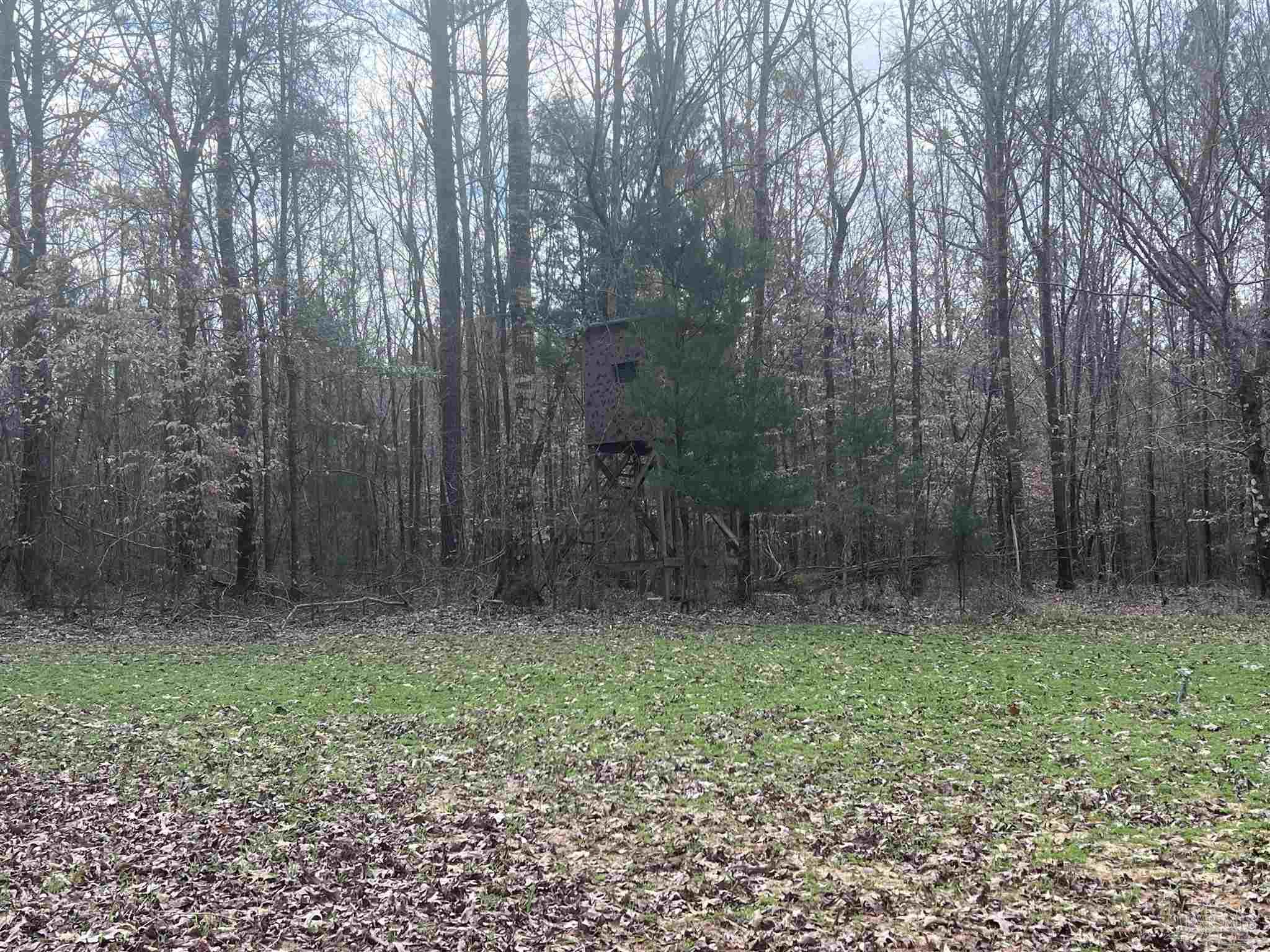 0 Mixonville Road McKenzie, AL 36456 - Photo 3 of 36 a view of outdoor space and garden