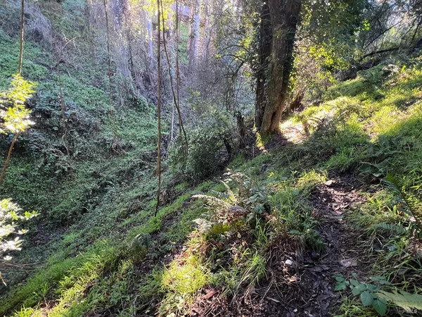 $79,000 | 38 Madera Way, Mill Valley, CA 94941