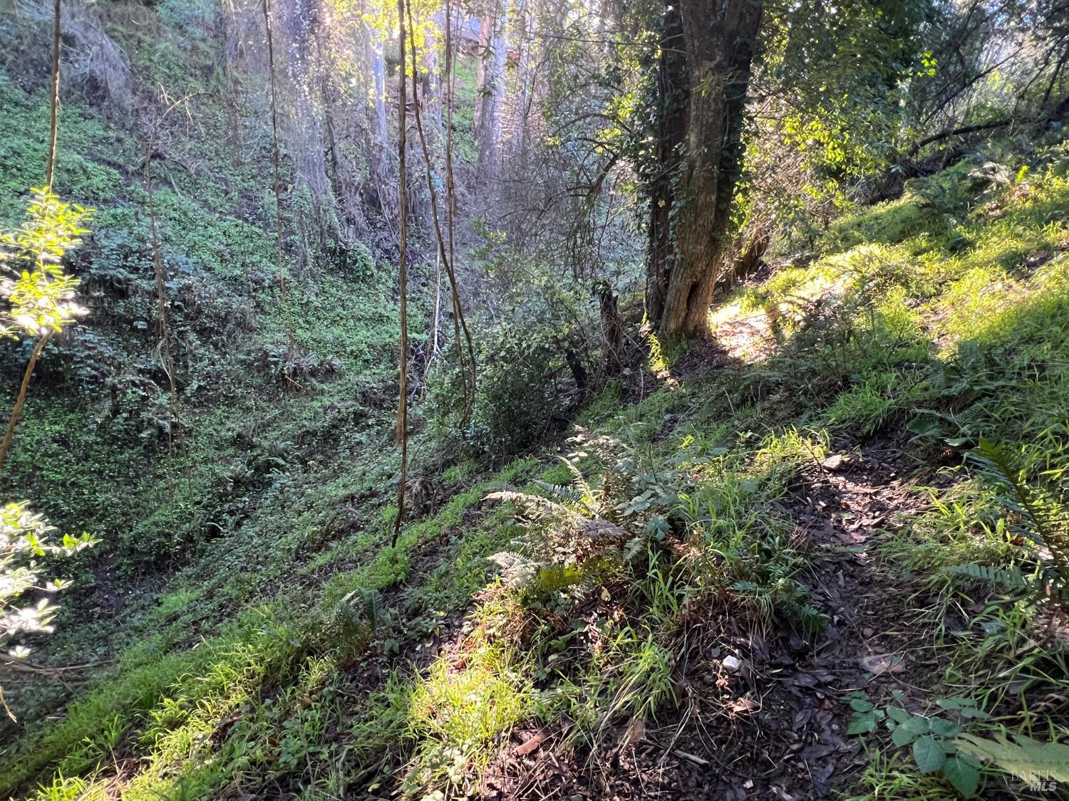 38 Madera Way Mill Valley, CA 94941 - Photo 2 of 10