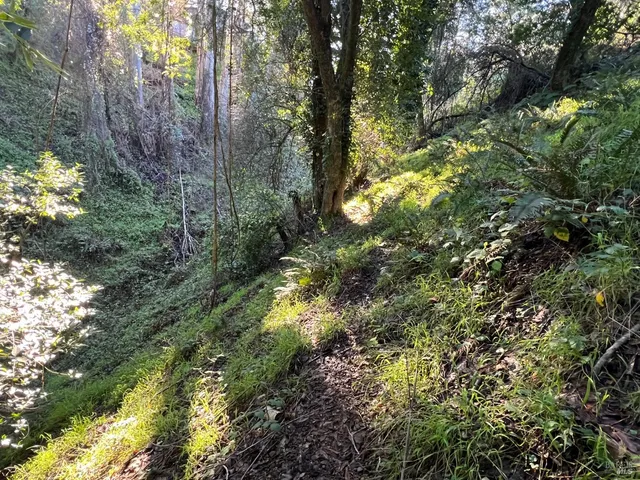 $79,000 | 38 Madera Way, Mill Valley, CA 94941