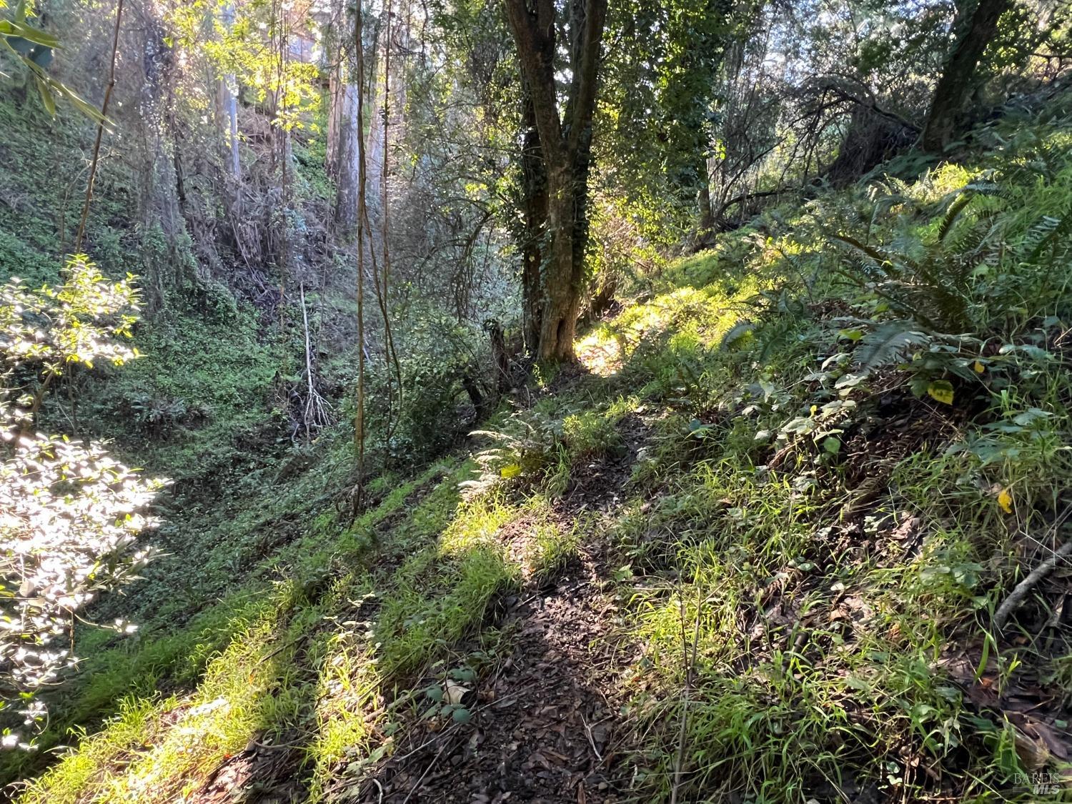 38 Madera Way Mill Valley, CA 94941 - Photo 3 of 10