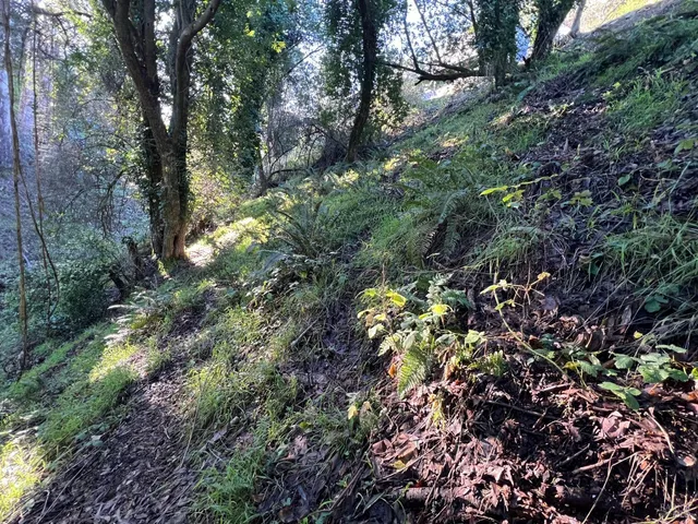 $79,000 | 38 Madera Way, Mill Valley, CA 94941