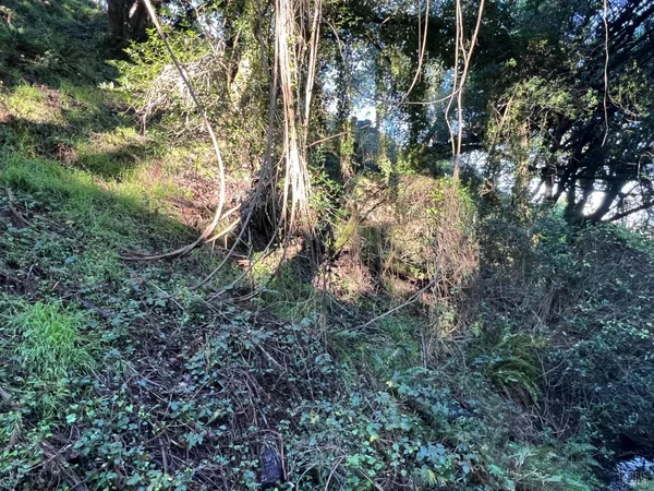 $79,000 | 38 Madera Way, Mill Valley, CA 94941