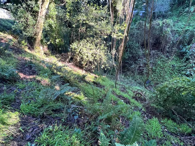 $79,000 | 38 Madera Way, Mill Valley, CA 94941