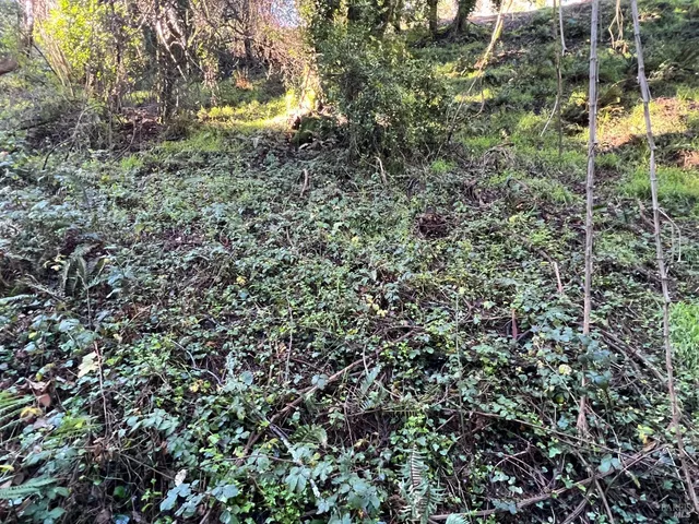 $79,000 | 38 Madera Way, Mill Valley, CA 94941