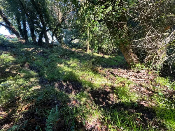 $79,000 | 38 Madera Way, Mill Valley, CA 94941