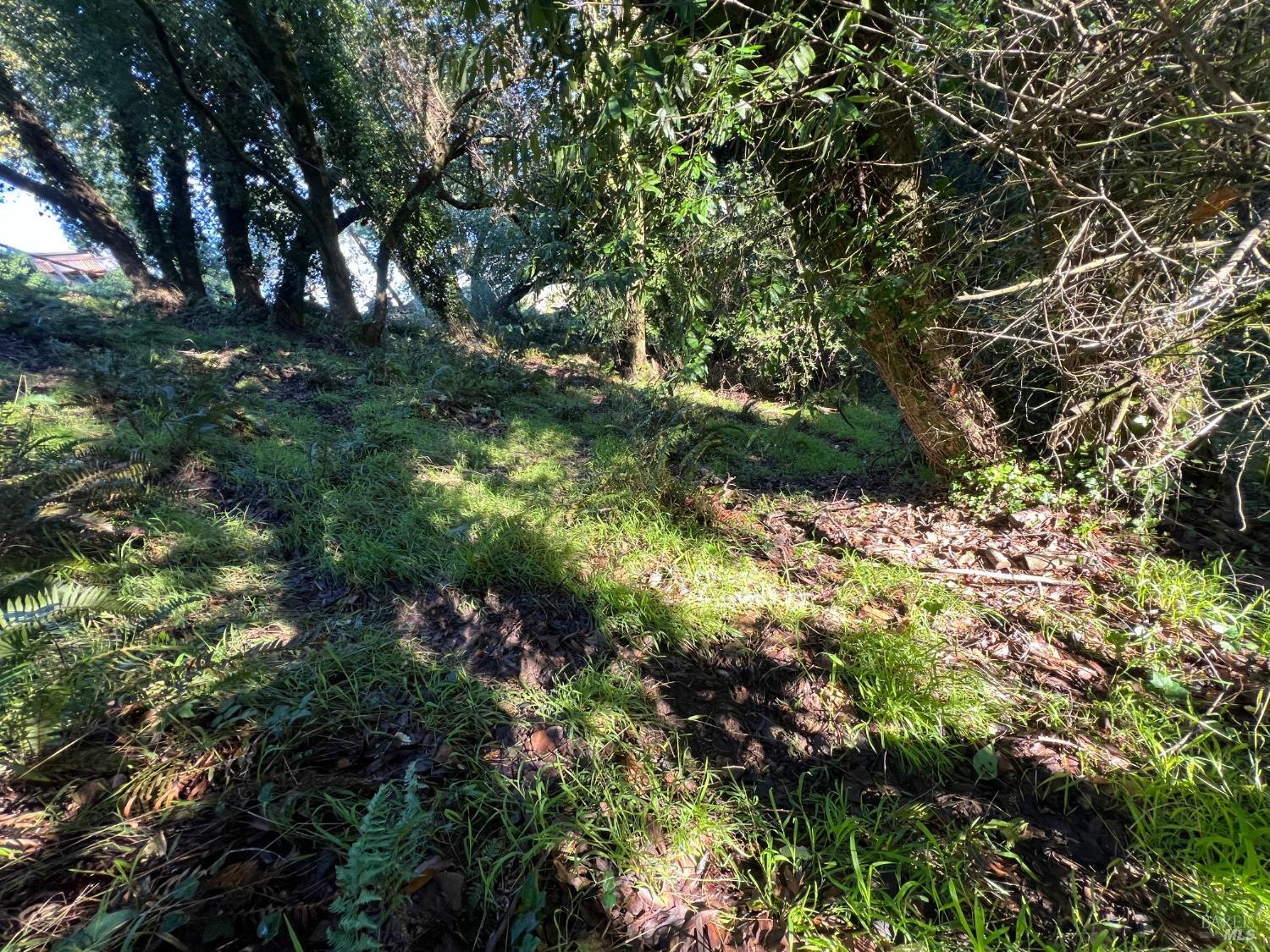 38 Madera Way Mill Valley, CA 94941 - Photo 8 of 10