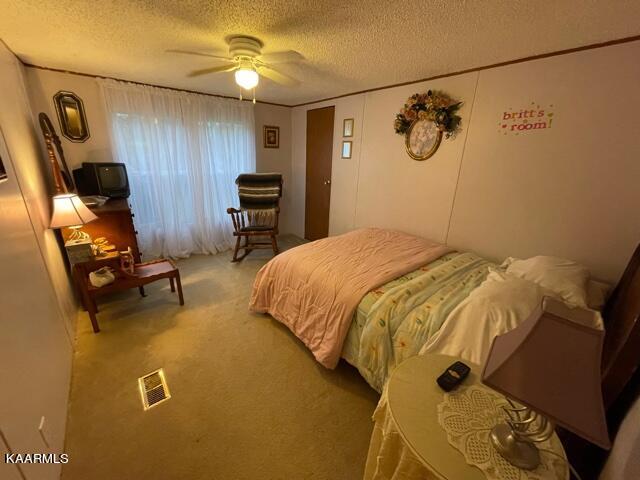 1724 Rauhuff Hollow Road Sevierville, TN 37876 - Photo 17 of 35 IMG_5744