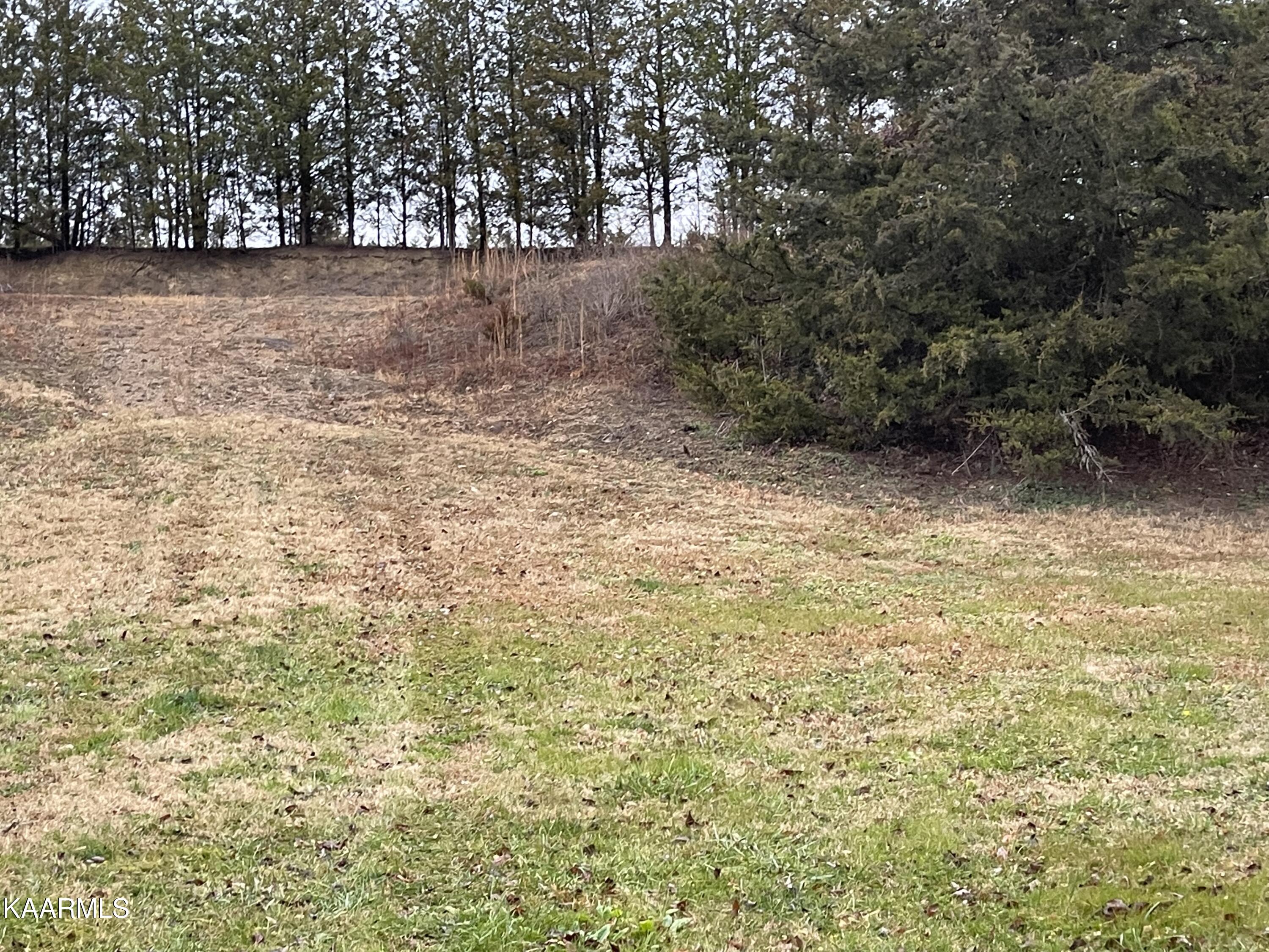1724 Rauhuff Hollow Road Sevierville, TN 37876 - Photo 24 of 35 IMG_5766