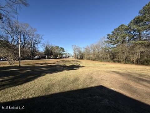 211 Highway 487 Carthage, MS 39051 - Photo 35 of 37 CEECCFED-90CF-4386-807C-FE01995EAC2D_4_5