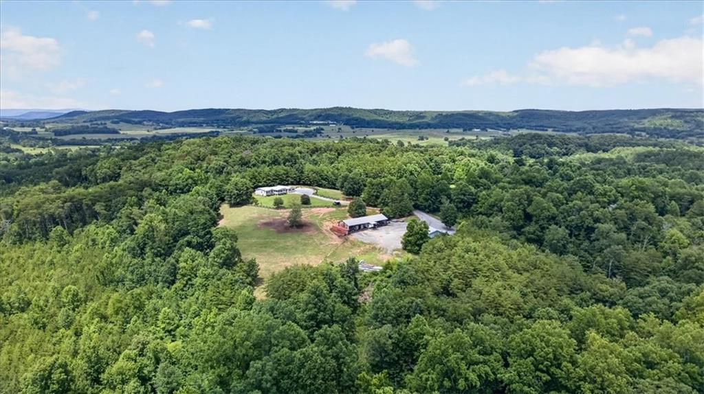 290 Knucklesville Road Rydal, GA 30171 - Photo 49 of 57