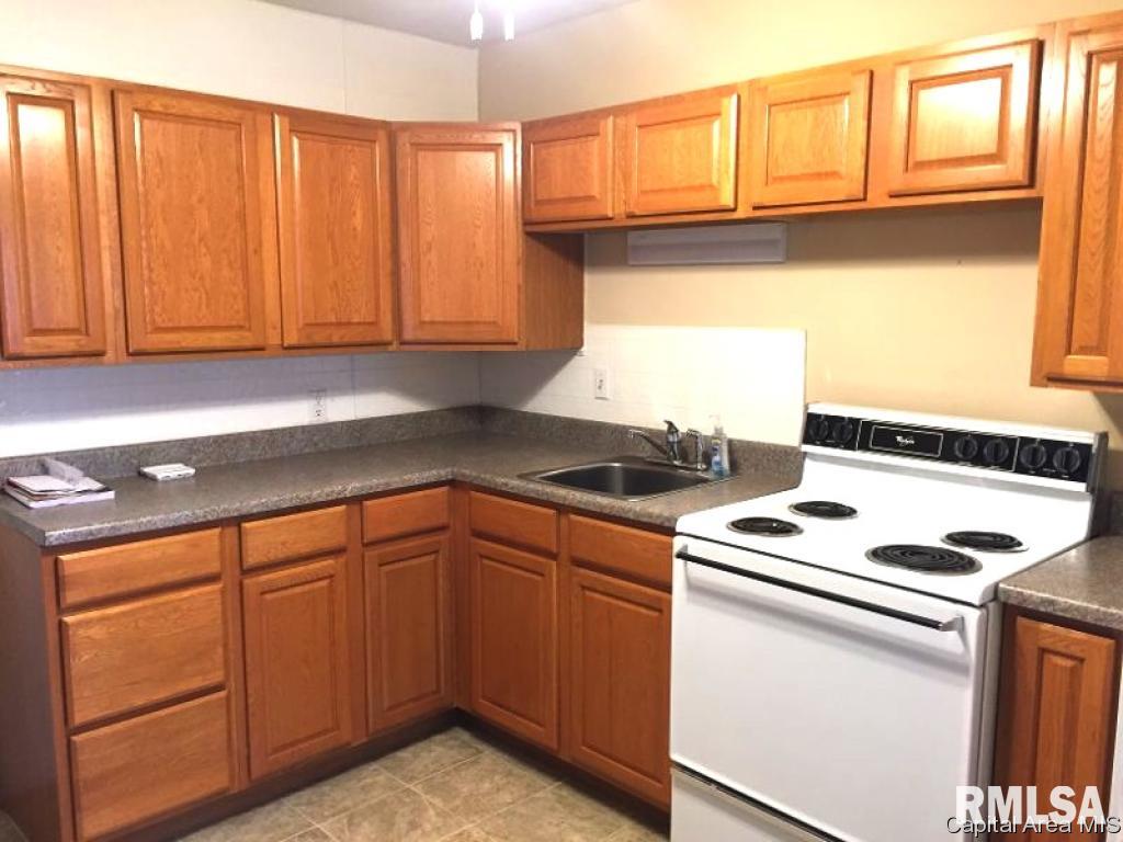 2341 South Spring Street Springfield, IL 62704 - Photo 10 of 18
