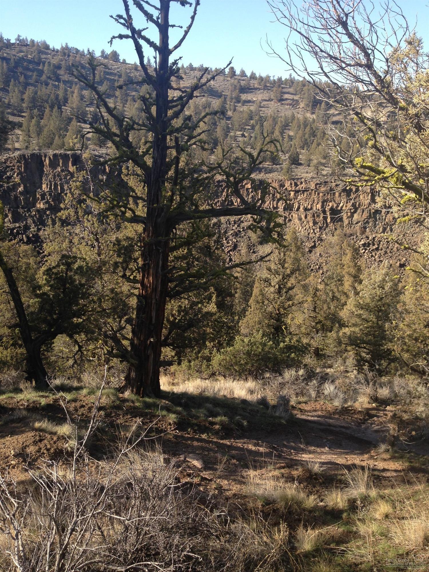 River Trail 1/2 Mile from Lot
