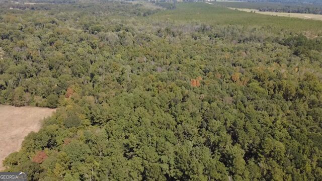 196 Gumlog Road Wrightsville, GA 31096 - Photo 18 of 19 Gallery Image 18