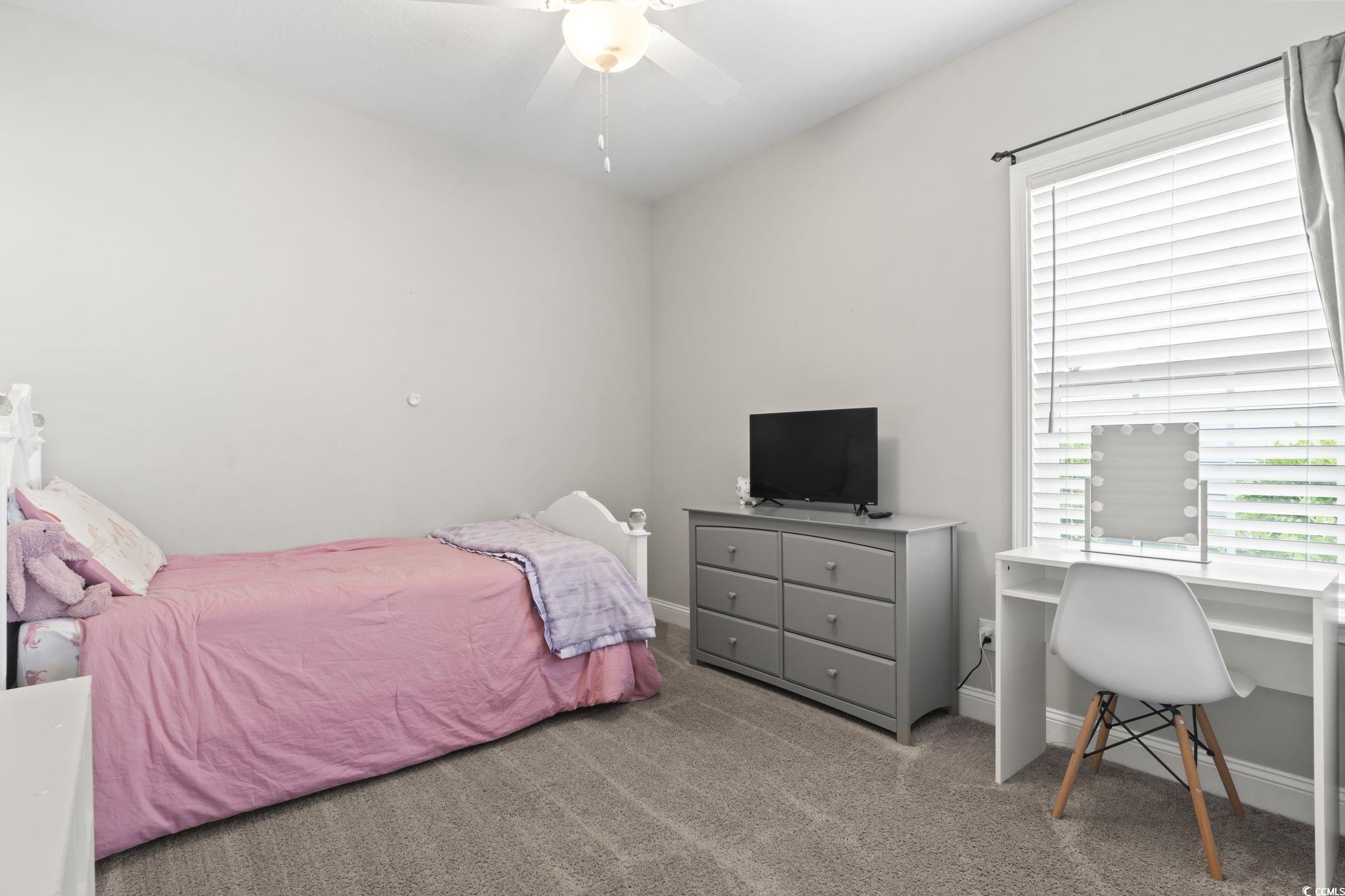 712 Hobonny Loop Longs, SC 29568 - Photo 20 of 39 Carpeted bedroom featuring baseboards and ceiling fan