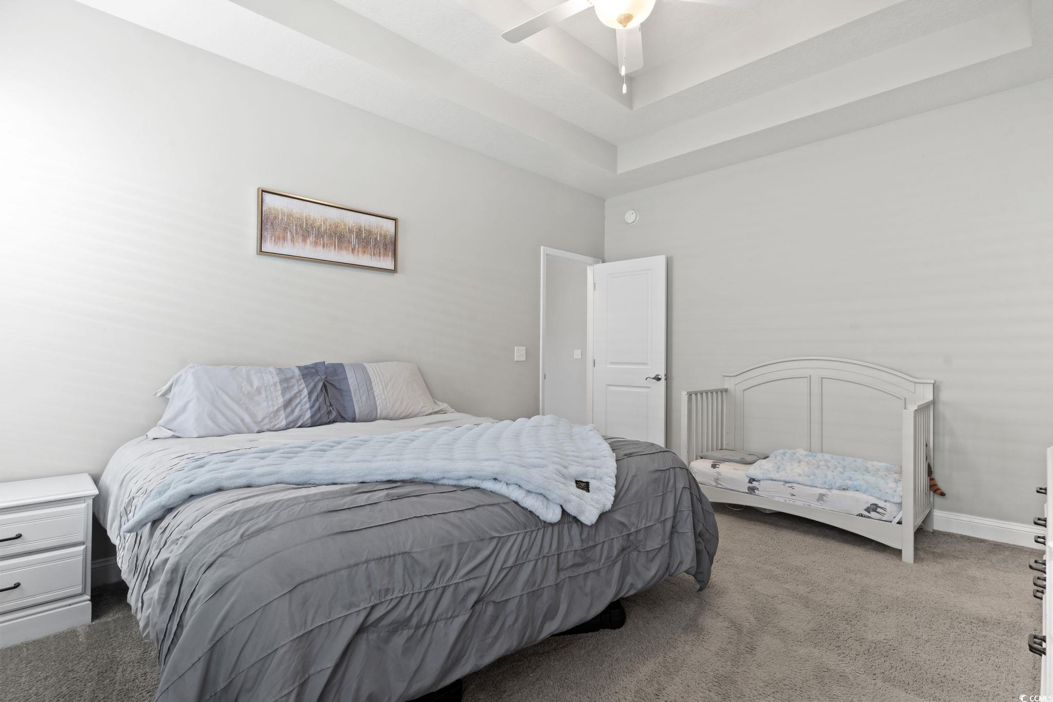 712 Hobonny Loop Longs, SC 29568 - Photo 26 of 39 Carpeted bedroom featuring a ceiling fan, a tray ceiling, and baseboards