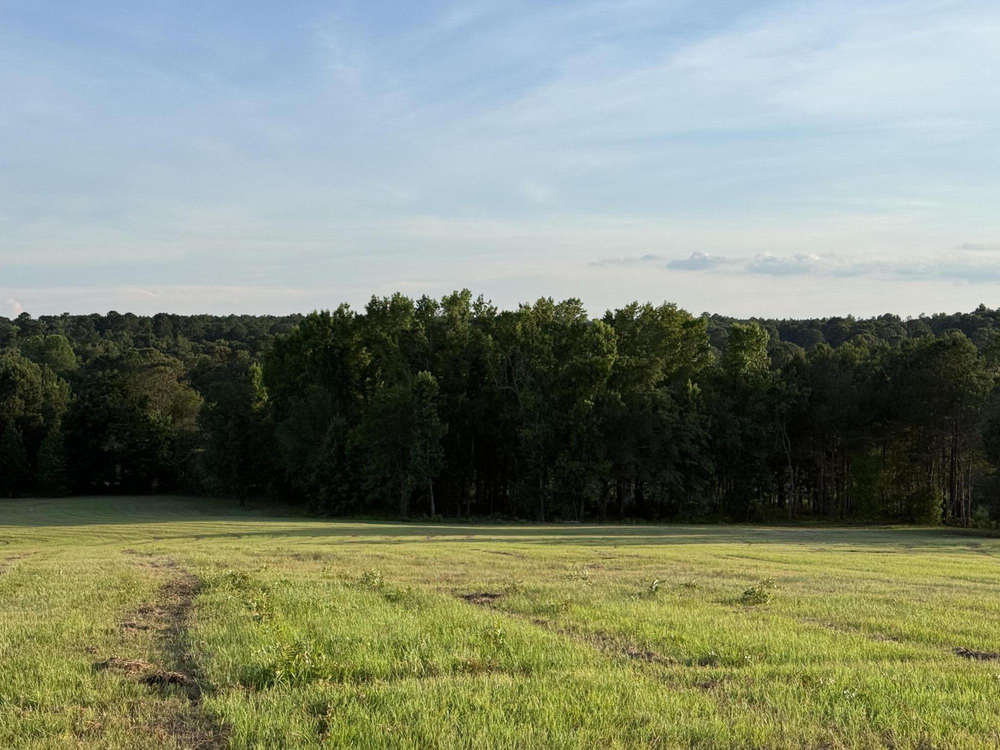 Lot 12 Reeves Street Aiken, SC 29805 - Photo 18 of 22