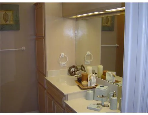 a bathroom with a sink mirror and vanity