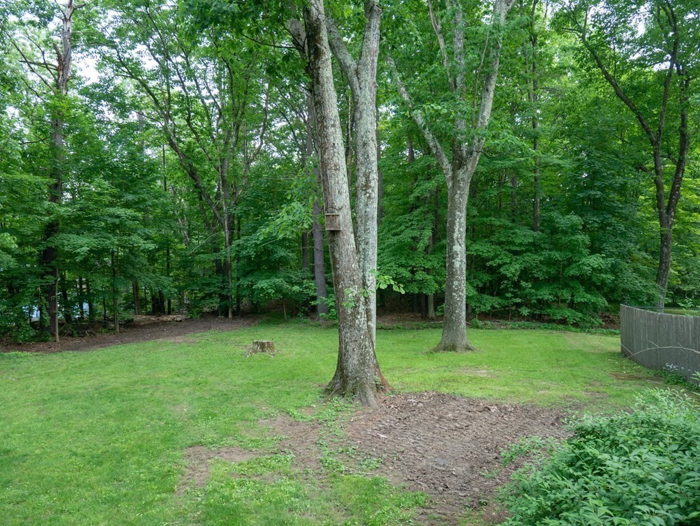 918 Ryan Road Northampton, MA 01062 - Photo 8 of 25