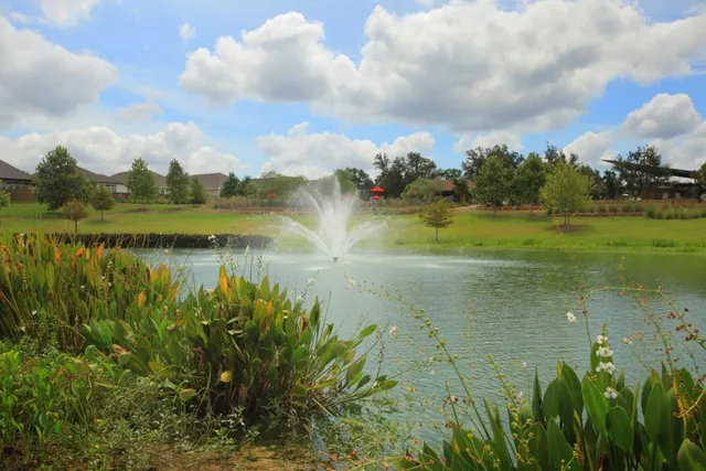 a view of a lake from a yard