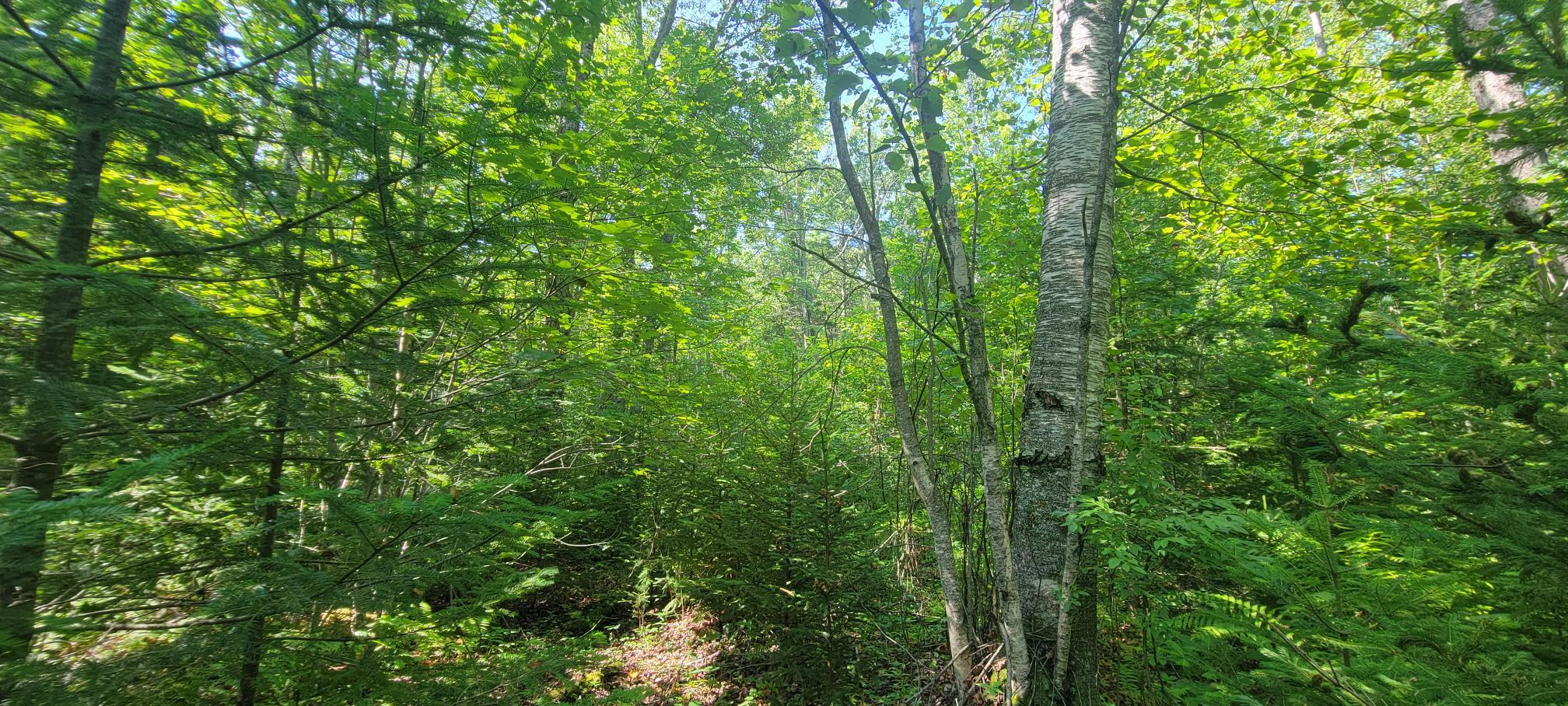 18 Backmeadow Road Waldoboro, ME 04572 - Photo 7 of 12 20230802_103413