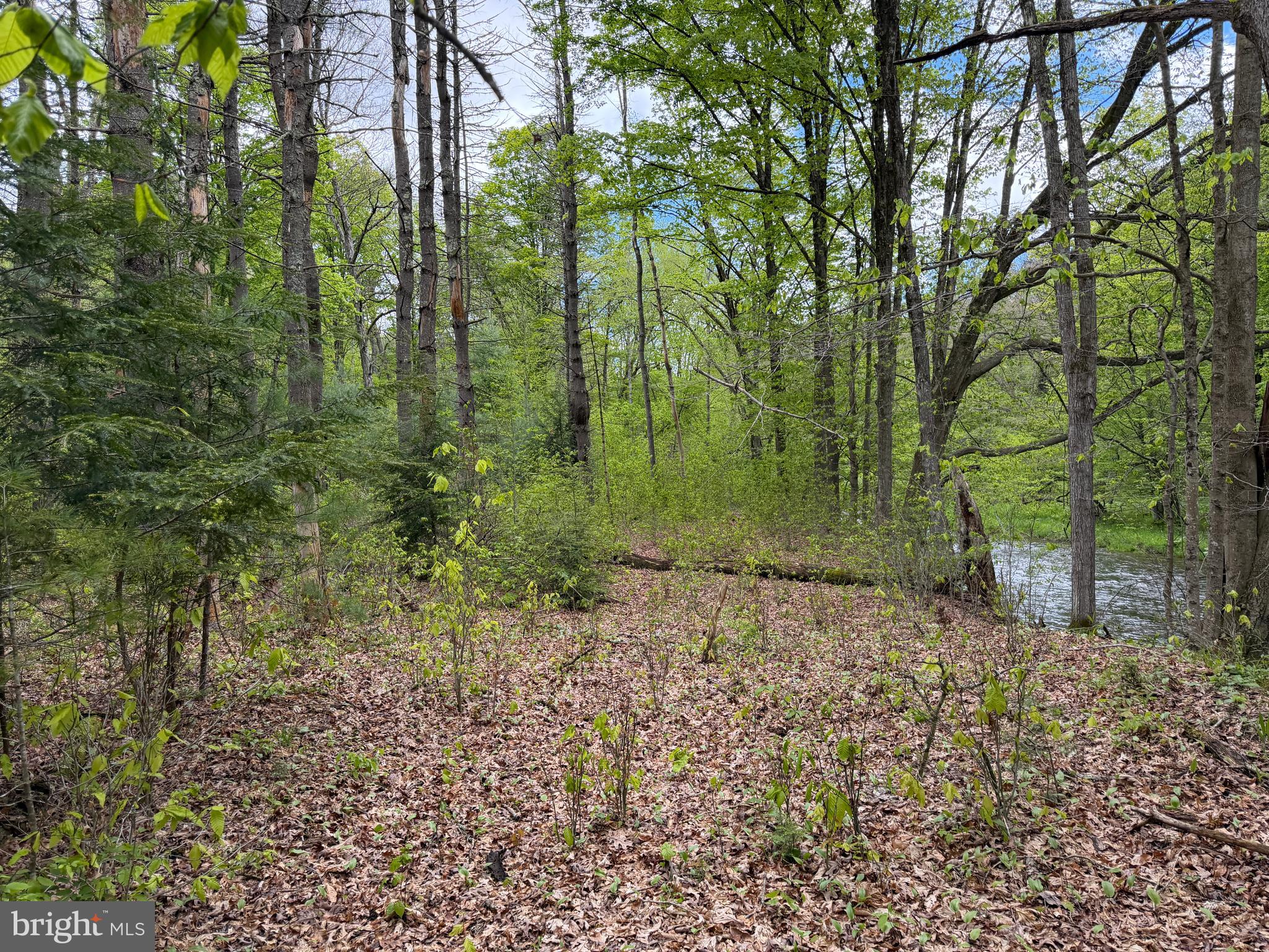 1227 Cross Fork Creek Road Cross Fork, PA 17729 - Photo 77 of 139