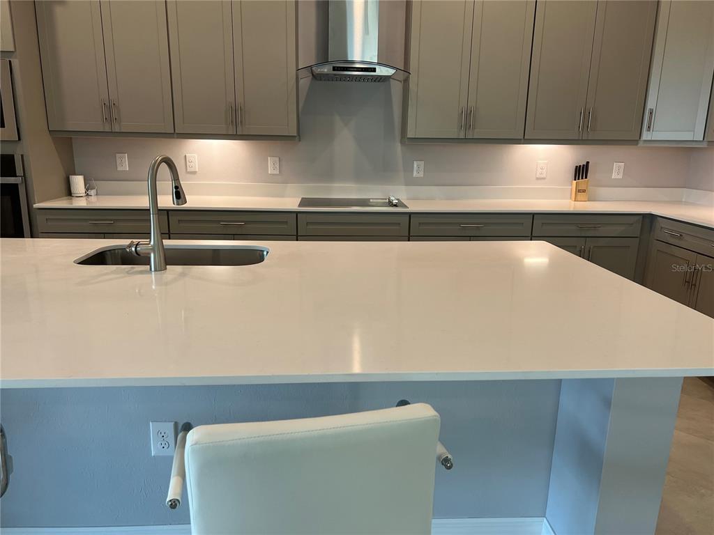 17535 Jadestone Court Venice, FL 34293 - Photo 14 of 92 a kitchen with a sink and cabinets
